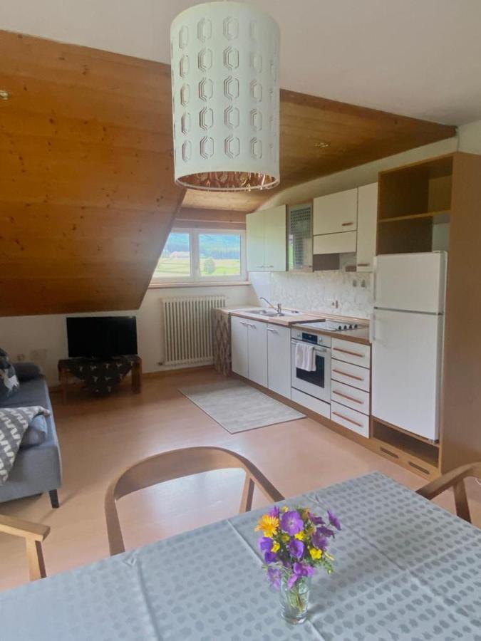 Schoenhuberhof Apartment Panoramablick Брунико Экстерьер фото
